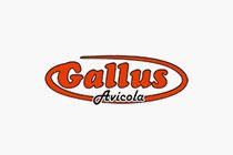 clientes-gallus